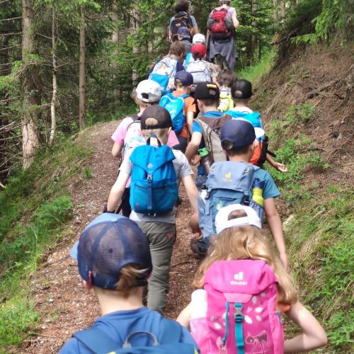 Wald- und Kräuterwanderung