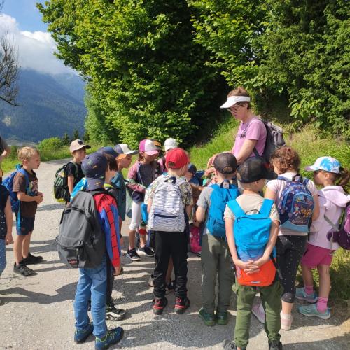 Wald- und Kräuterwanderung