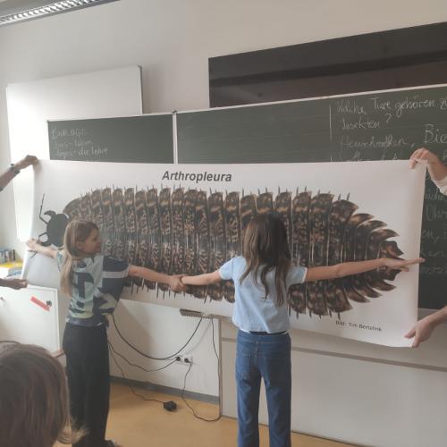 Insekten