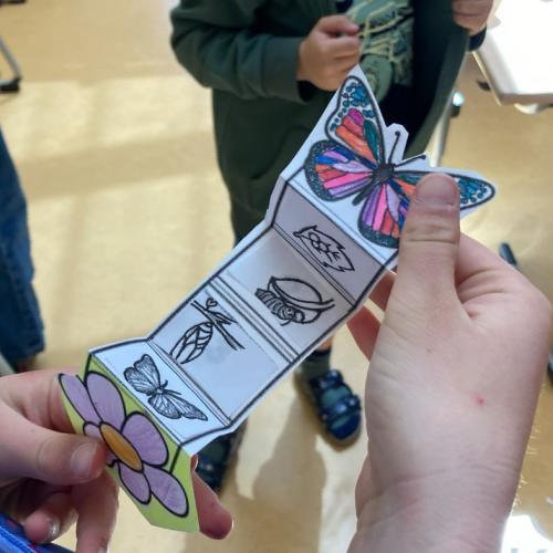 Projekttag Wiese