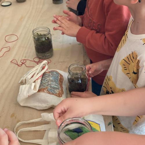 Projekttag Wiese
