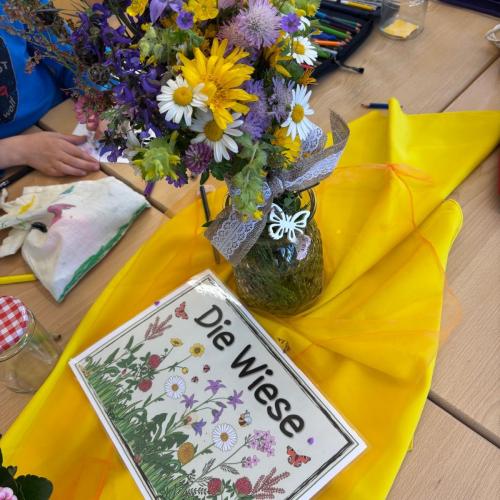 Projekttag Wiese