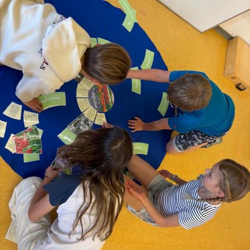 Projekttag Wiese