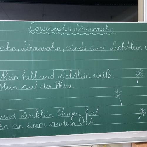 Projekttag Wiese