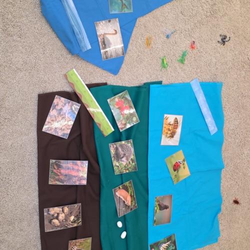Projekttag Wiese
