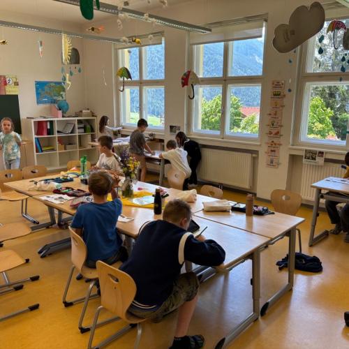 Projekttag Wiese