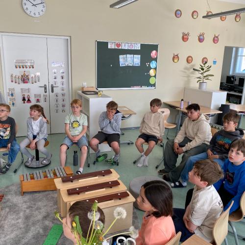 Projekttag Wiese