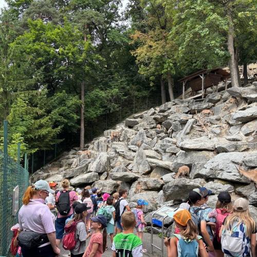 Alpenzoo