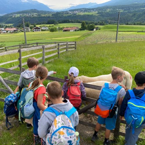 Bauernhofbesuch