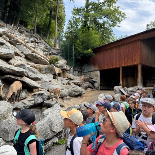 Alpenzoo