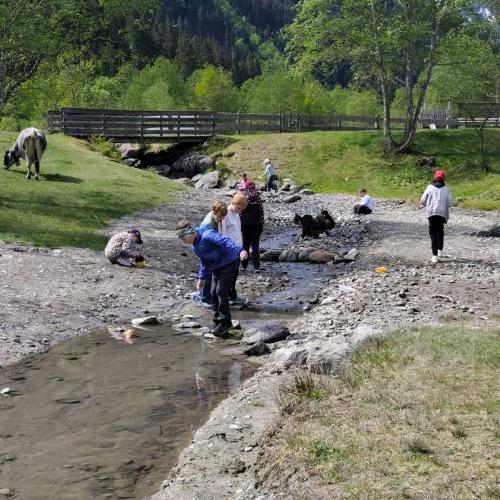 Wassertag