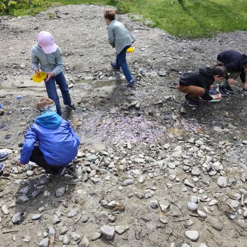Wassertag