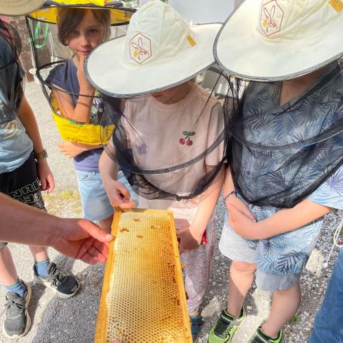 Bienen