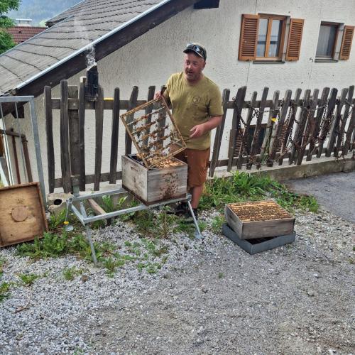 Bienen
