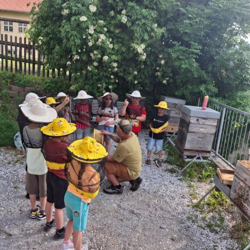 Bienen