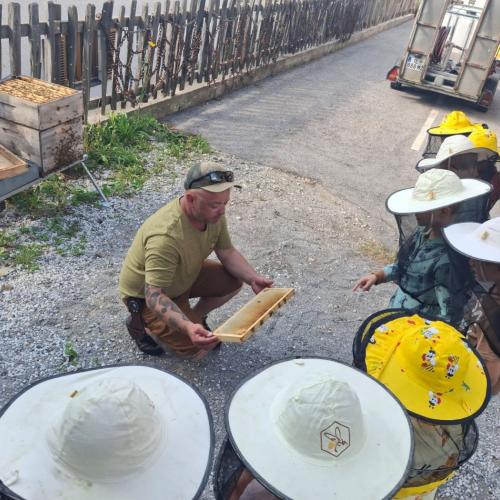 Bienen