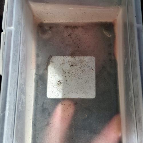 Wassertag