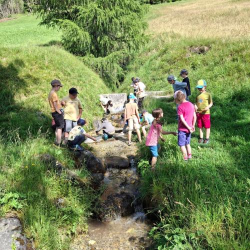 Wassertag