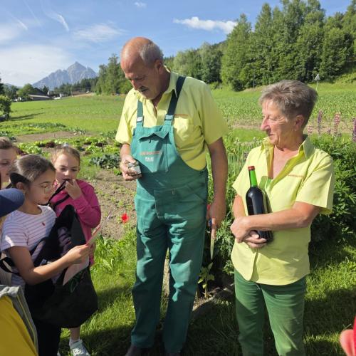 Erntefreude im Ahnengarten