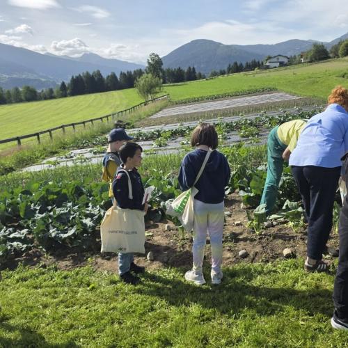 Erntefreude im Ahnengarten