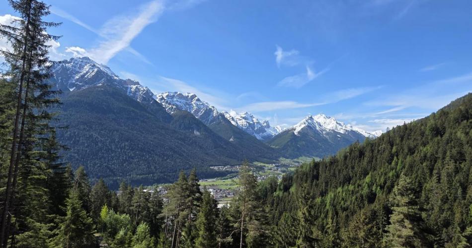 Aufforsten