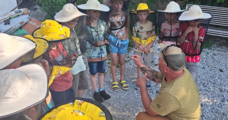 Bienen